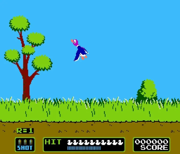 Duck Hunt